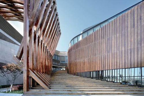 品讀六大材料在塑造城市建筑肌理中的力量